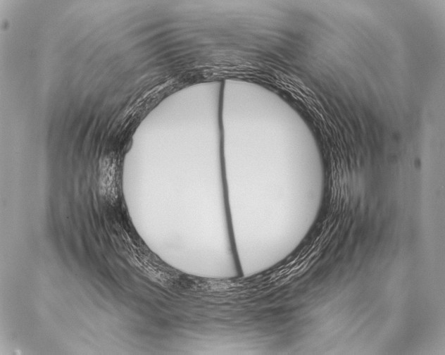 X0000087021060200705071504