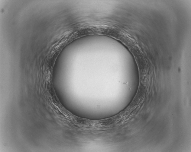 X0000087021061200705071504