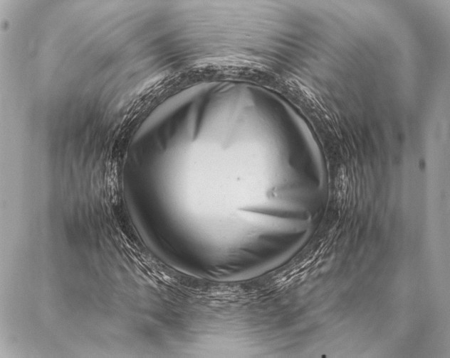 X0000087021062200705071504