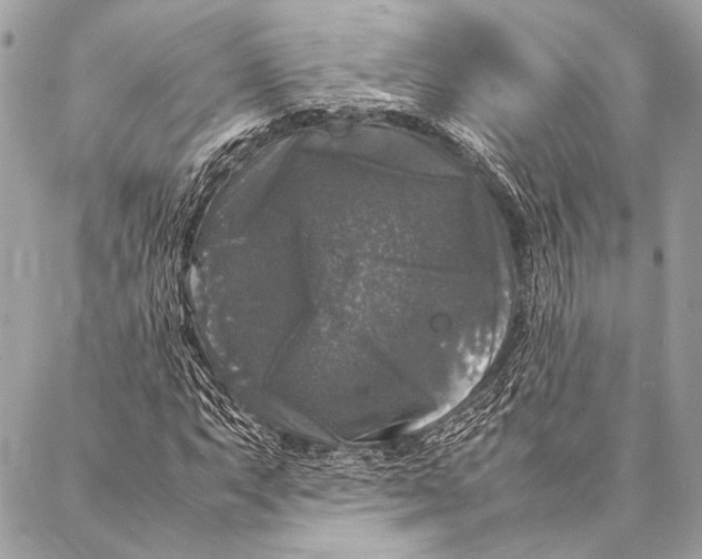 X0000087021063200705071504