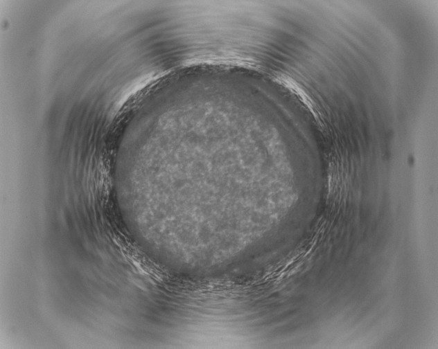 X0000087021064200705071504