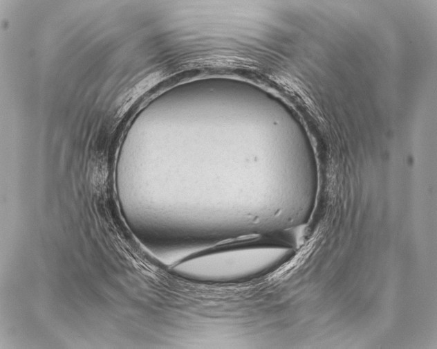 X0000087021065200705071504