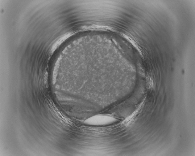 X0000087021066200705071504