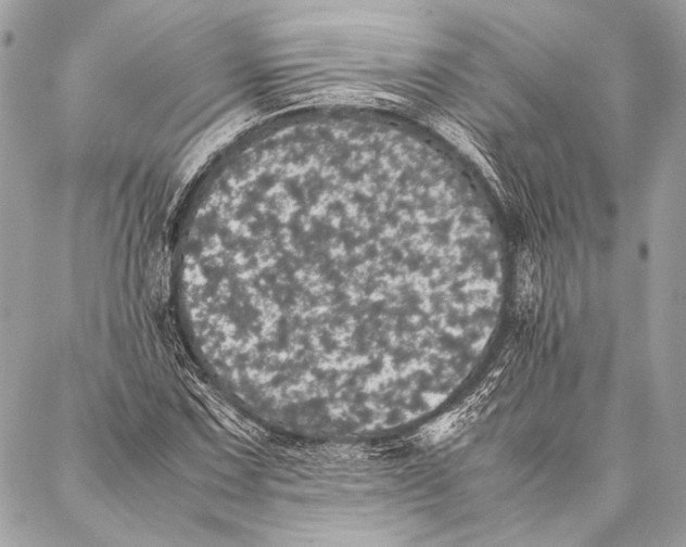 X0000087021067200705071504