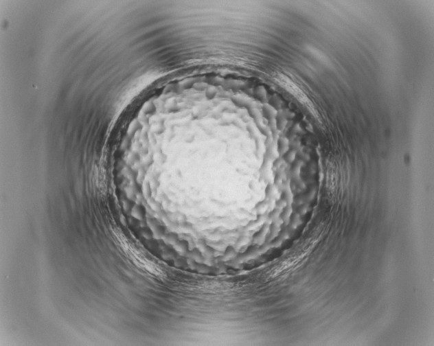 X0000087021068200705071504