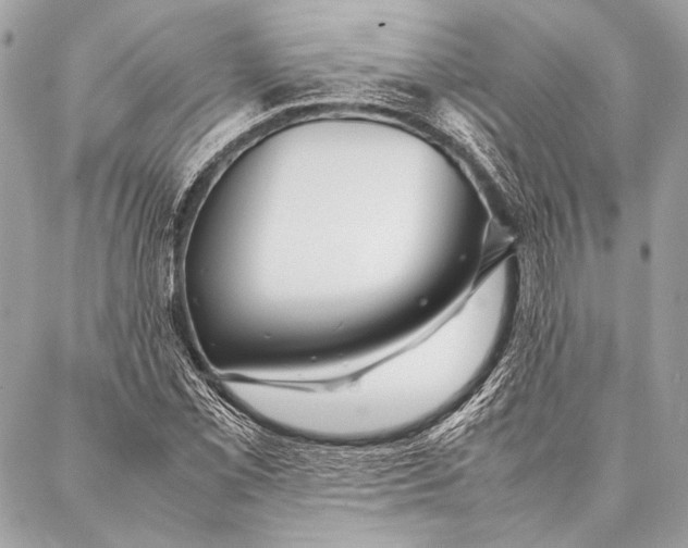 X0000087021069200705071504