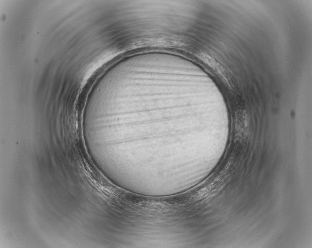 X0000087021070200705071504