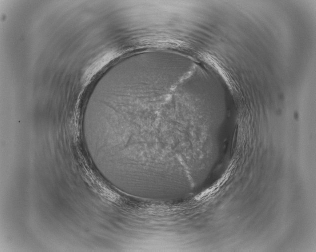 X0000087021071200705071504