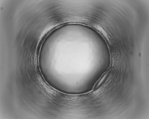 X0000087021072200705071504