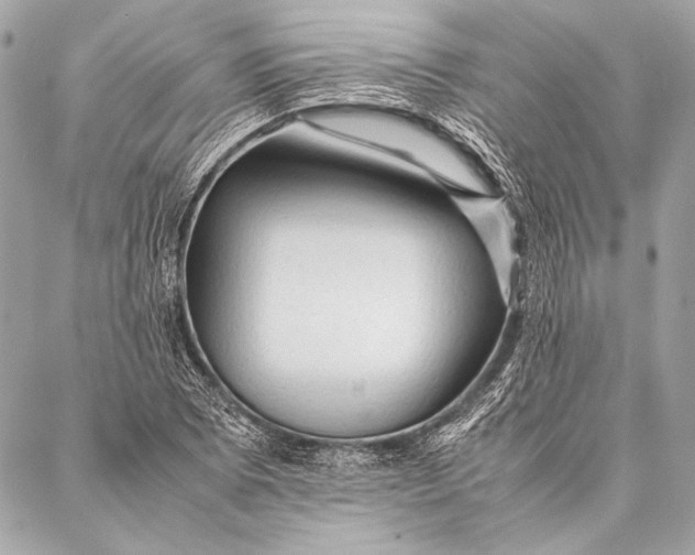 X0000087021073200705071504