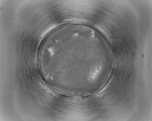 X0000087021074200705071504