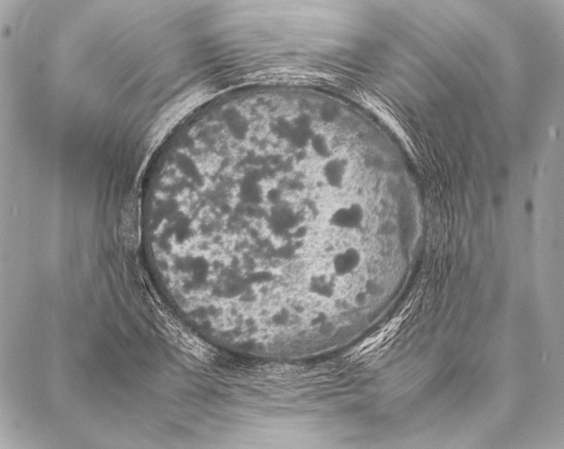 X0000087021075200705071504