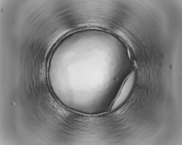 X0000087021076200705071504