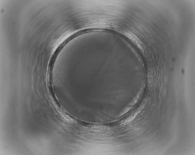 X0000087021077200705071504