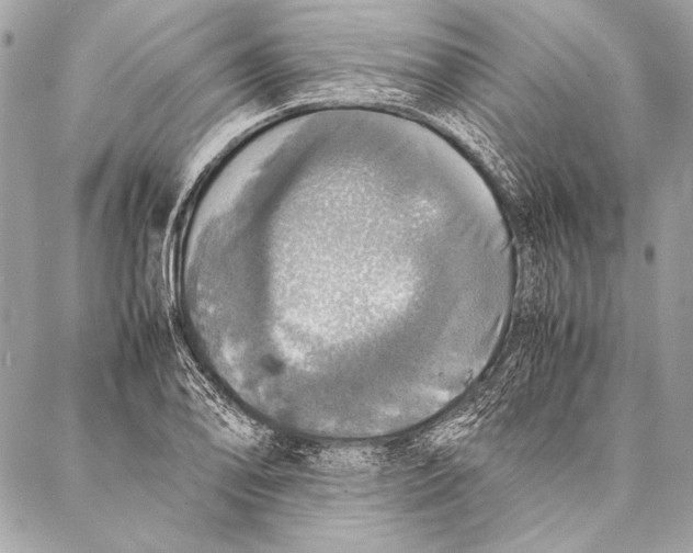 X0000087021078200705071504