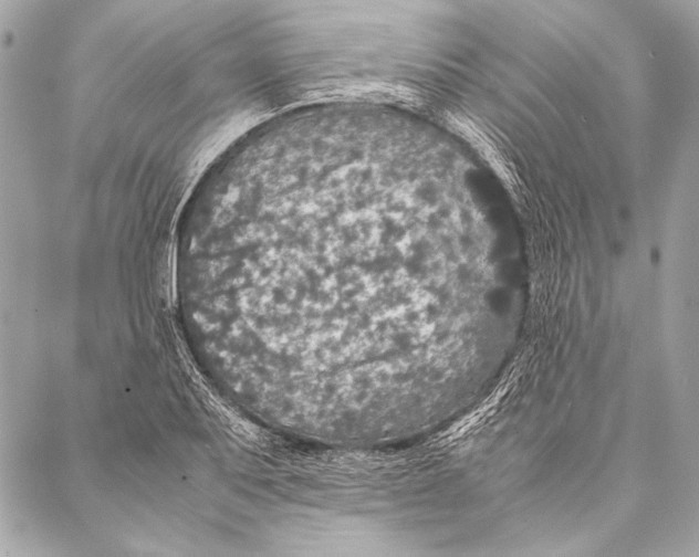 X0000087021079200705071504