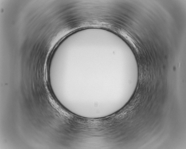 X0000087021080200705071504