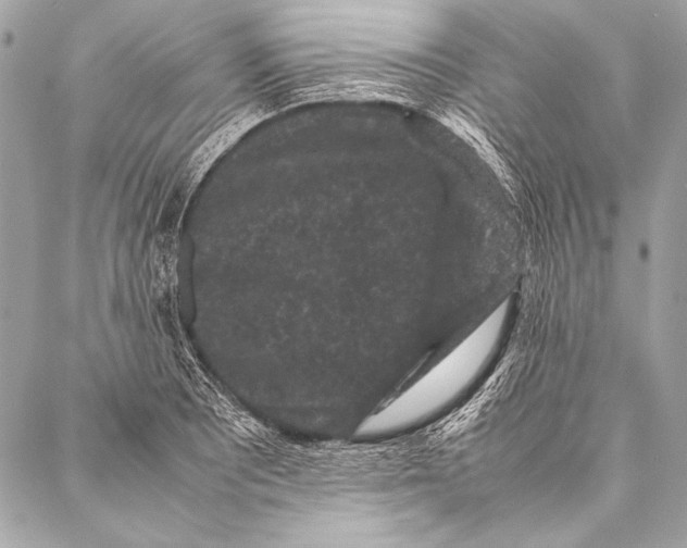 X0000087021081200705071504