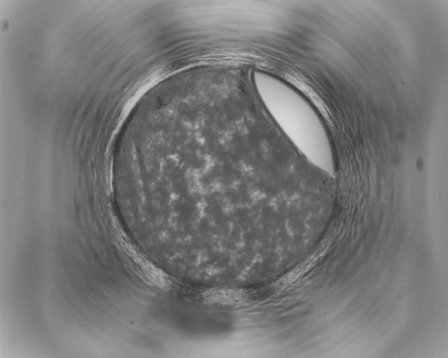 X0000087021083200705071504