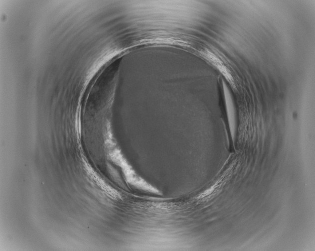 X0000087021084200705071504