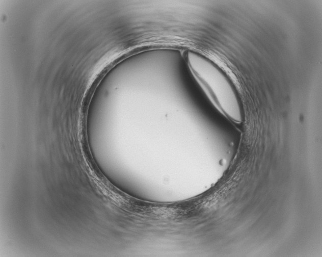 X0000087021085200705071504