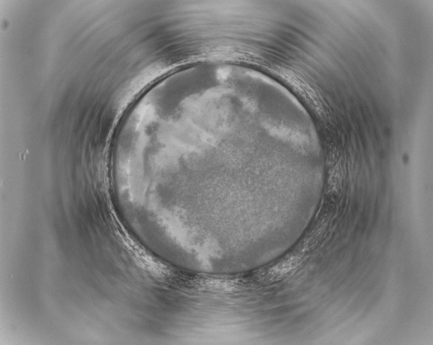 X0000087021086200705071504