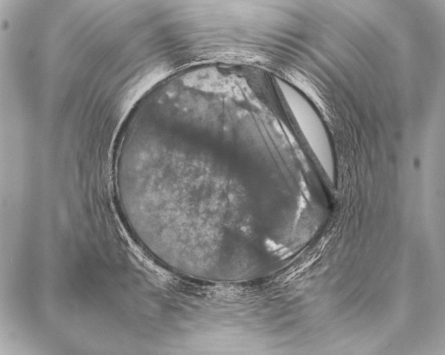 X0000087021087200705071503