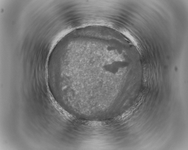 X0000087021088200705071503