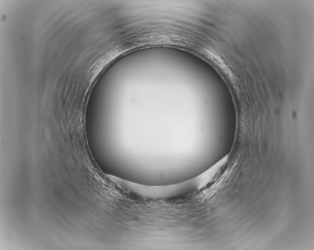 X0000087021089200705071503