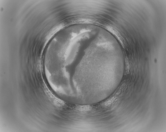 X0000087021090200705071503