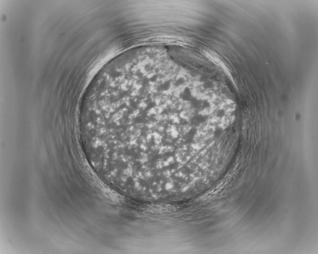 X0000087021091200705071503