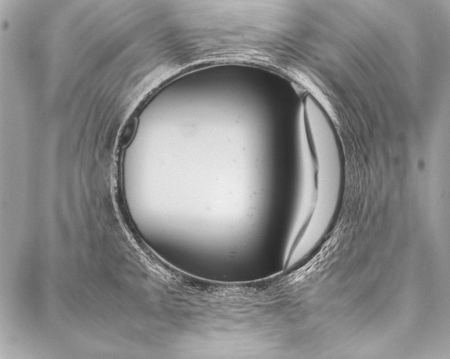 X0000087021093200705071503