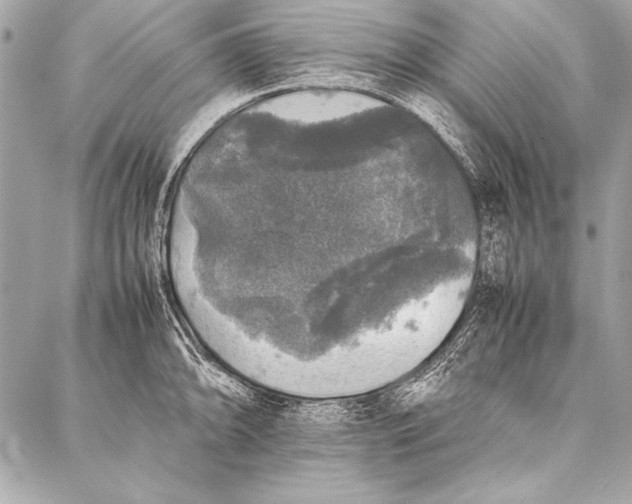 X0000087021094200705071503