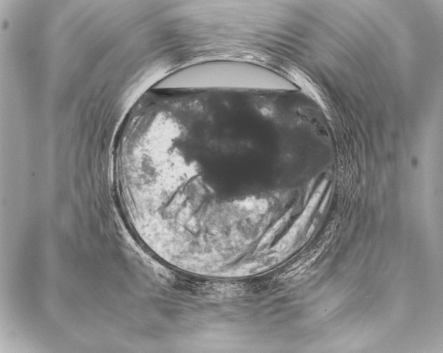 X0000087021095200705071503