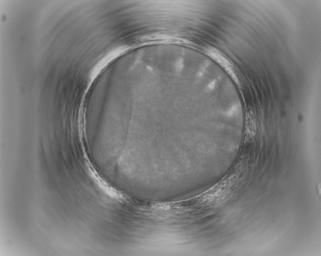 X0000087021098200705071503