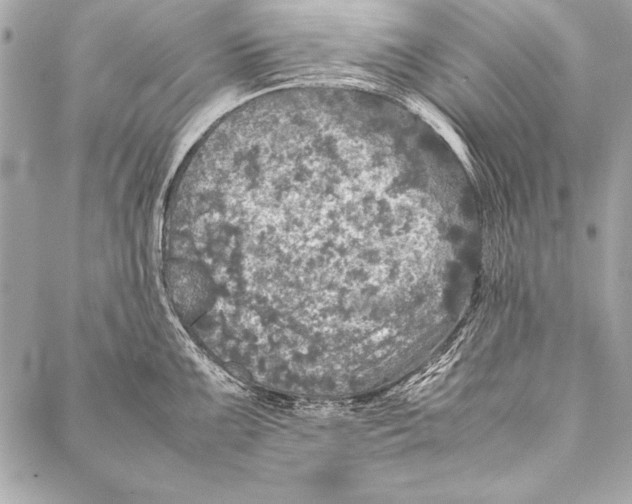 X0000087021099200705071503