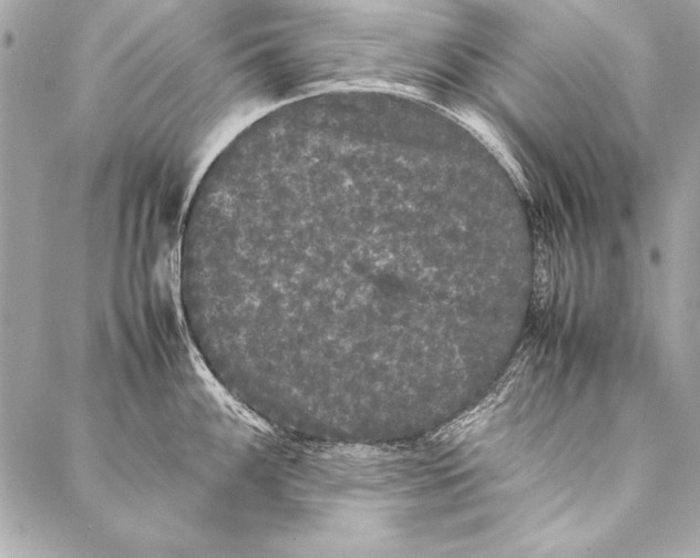 X0000087021100200705071503