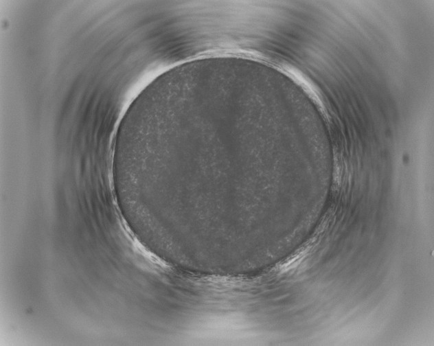 X0000087021102200705071503