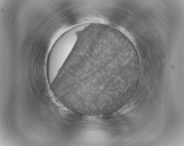 X0000087021104200705071503