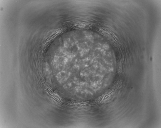 X0000087021105200705071502