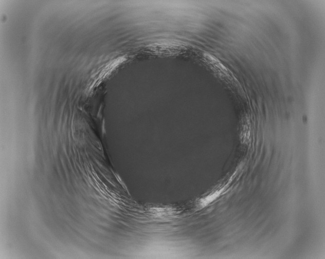 X0000087021108200705071502