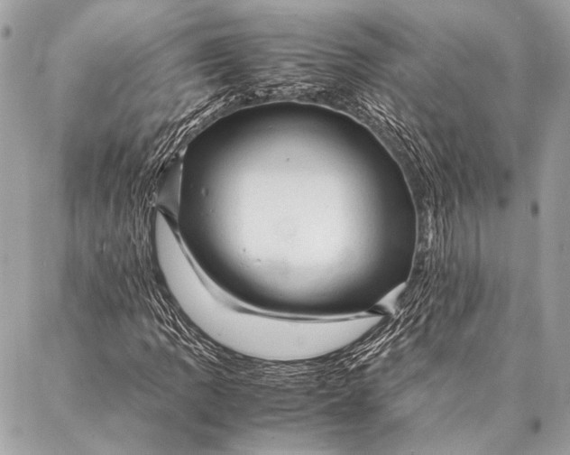 X0000087021109200705071502