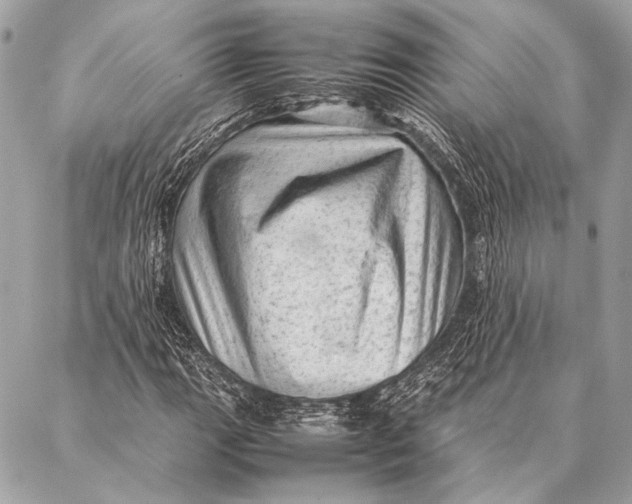 X0000087021111200705071503