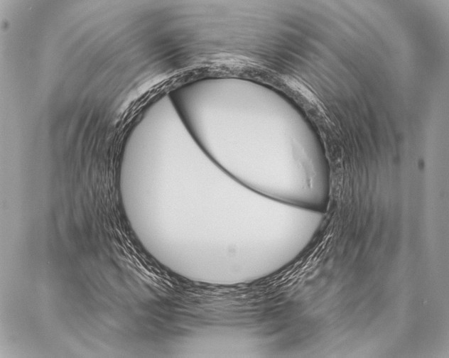 X0000087021112200705071503