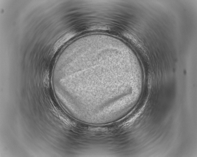 X0000087021113200705071503