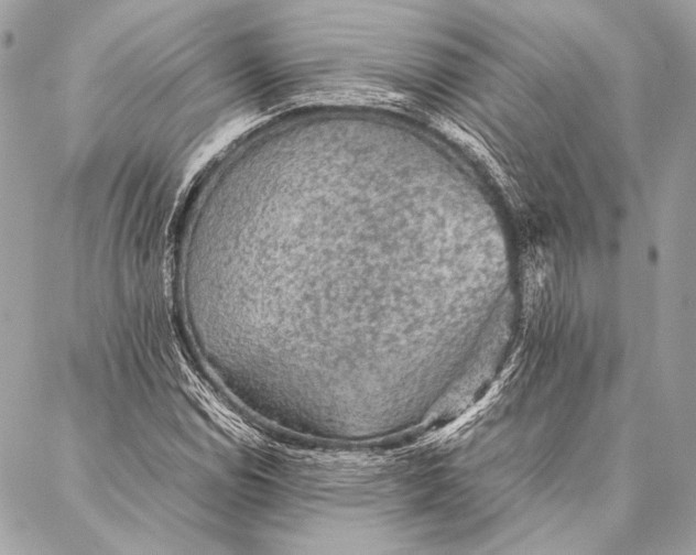 X0000087021114200705071503