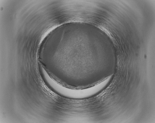 X0000087021120200705071503