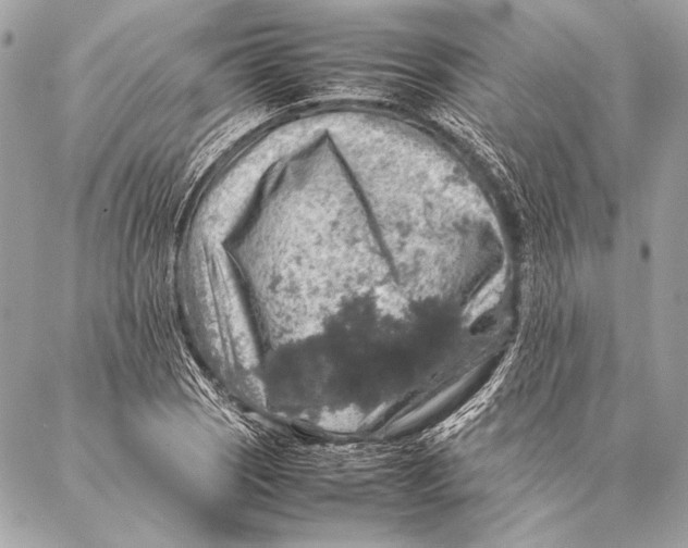 X0000087021121200705071503