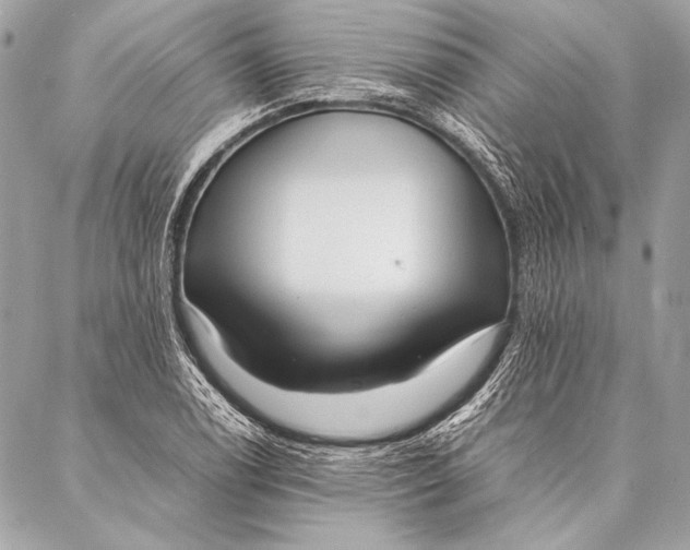 X0000087021122200705071503