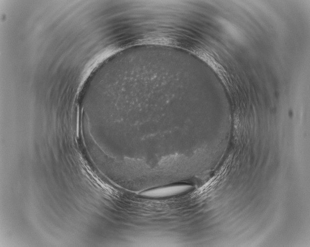 X0000087021123200705071503